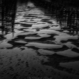 dailyPhoto39